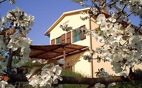 Podere Mazzana